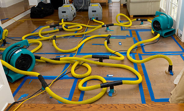 Professional Sewage Cleanup technician working in Clifford, IN